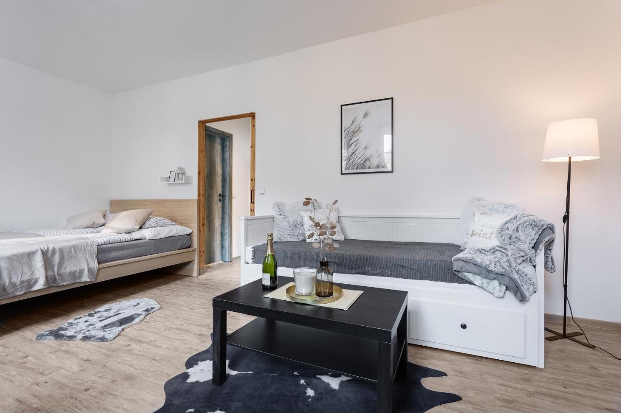Vlevo Dole Koko Apartment By Sprava Ubytka Рокитнице над Ийзероу Екстериор снимка